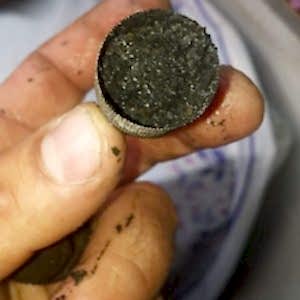 FB_IMG_1513887654157